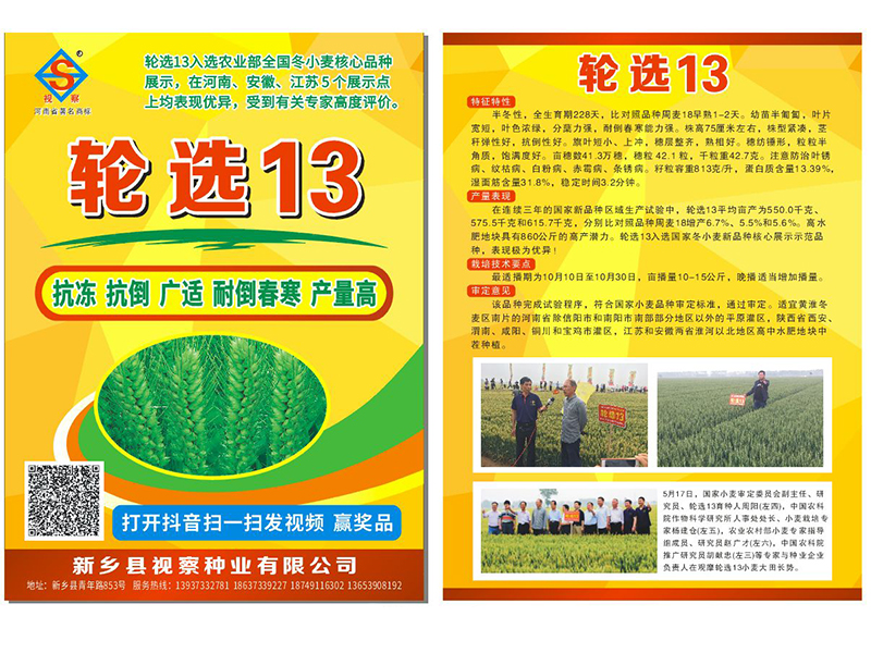轮选13