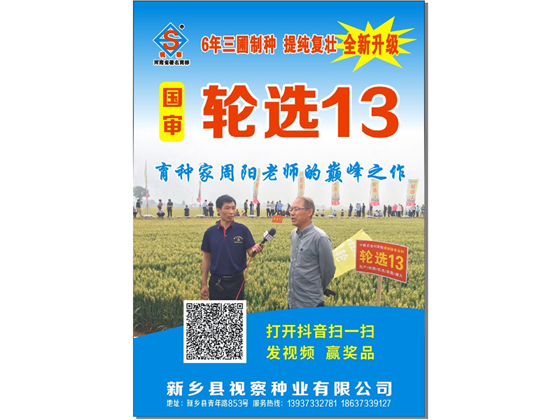 轮选13