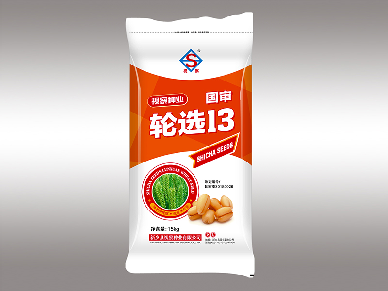 轮选13